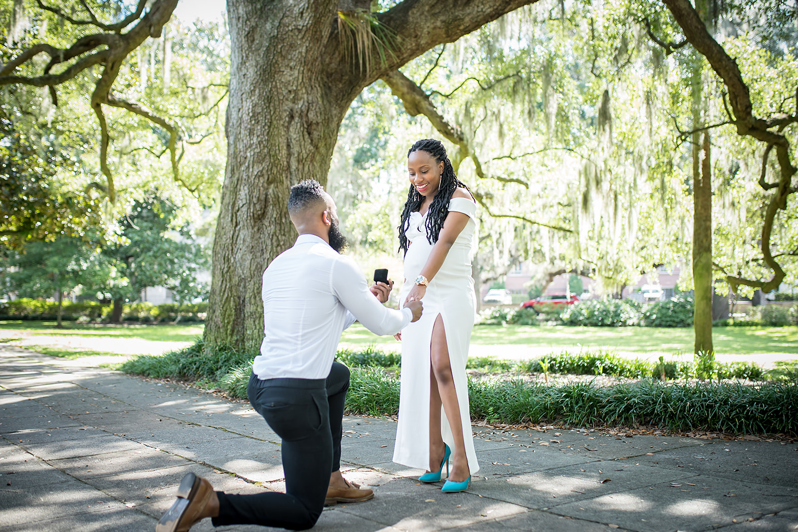 Photo of Proposal in Savannah Park